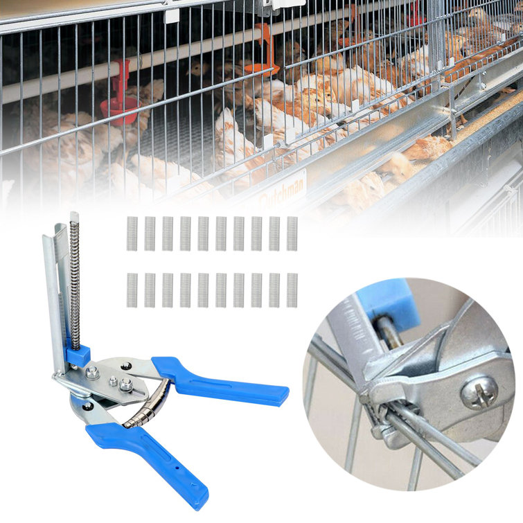 Tucker Murphy Pet™ Kegan Stainless Steel/Plastic Roosting Bars / Frames